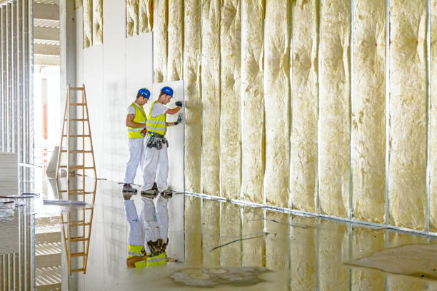 Best Insulation Maintenance and Repair in Lowry Crossing, TX